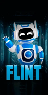 FLINT